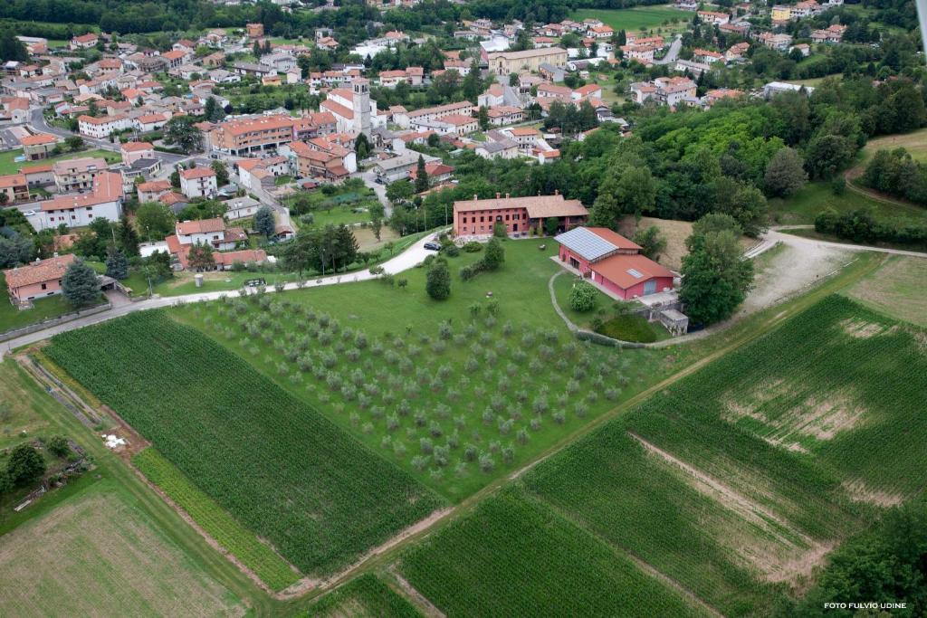 Agriturismo Casa Rossa Ai Colli Ragogna Dış mekan fotoğraf