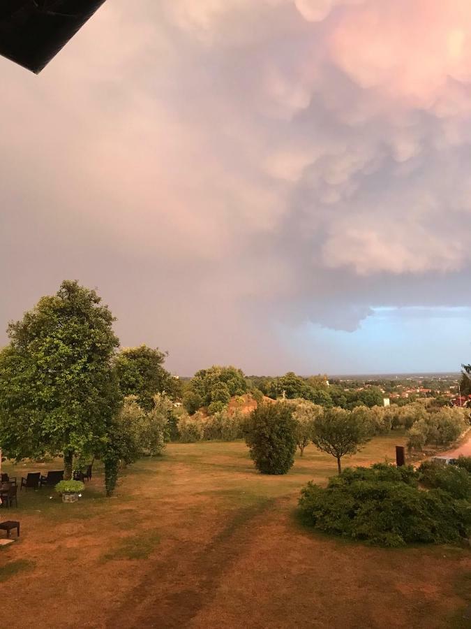 Agriturismo Casa Rossa Ai Colli Ragogna Dış mekan fotoğraf