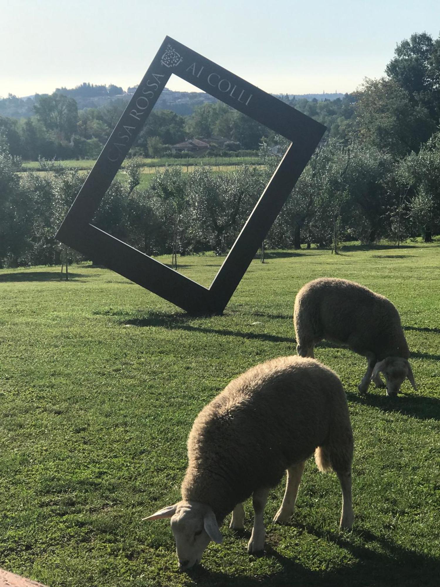 Agriturismo Casa Rossa Ai Colli Ragogna Dış mekan fotoğraf