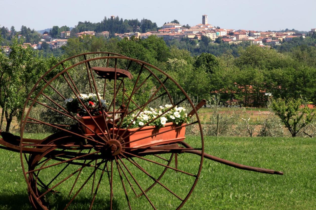 Agriturismo Casa Rossa Ai Colli Ragogna Dış mekan fotoğraf